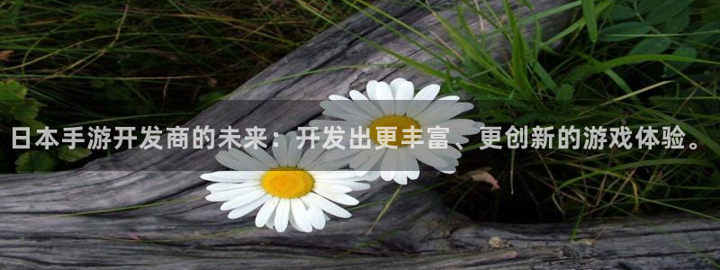 汇丰娱乐开奖：日本手游开发商的未来：开发出更丰富、更创新的游