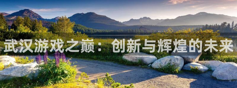 汇丰娱乐预测吧：武汉游戏之巅：创新与辉煌的未来