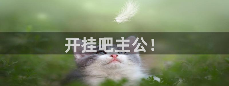 汇丰娱乐：开挂吧主公！