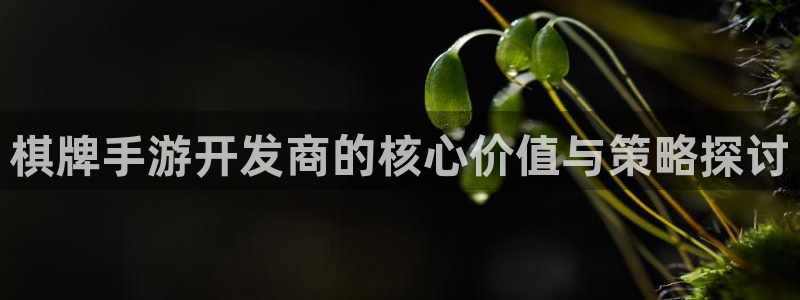 汇丰娱乐眯牌：棋牌手游开发商的核心价值与策略探讨