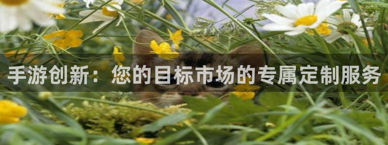 汇丰娱乐app怎么下载