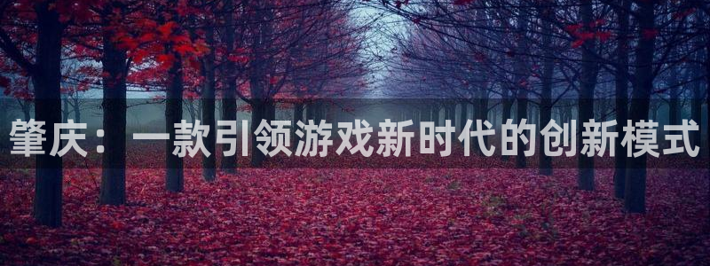 汇丰娱乐开奖结果：肇庆：一款引领游戏新时代的创新模式
