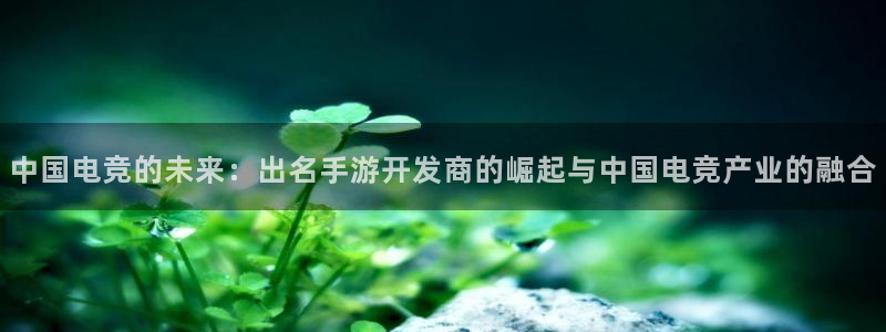 汇丰娱乐官网预测：中国电竞的未来：出名手游开发商的崛起与中国