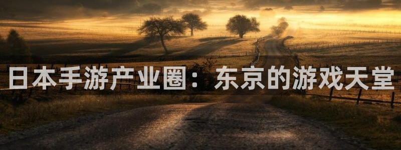 汇丰娱乐论坛预测：日本手游产业圈：东京的游戏天堂