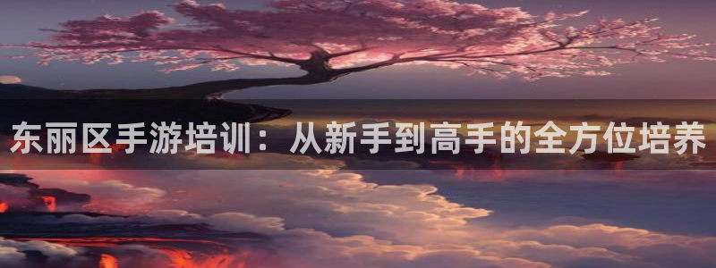 汇丰娱乐苹果下载：东丽区手游培训：从新手到高手的全方位培养