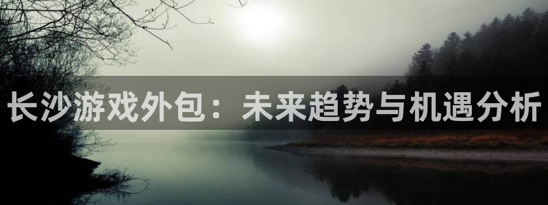 汇丰娱乐软件不能用了：长沙游戏外包：未来趋势与机遇分析