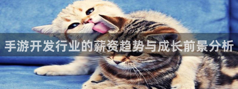 汇丰娱乐怎么上不去了：手游开发行业的薪资趋势与成长前景分析