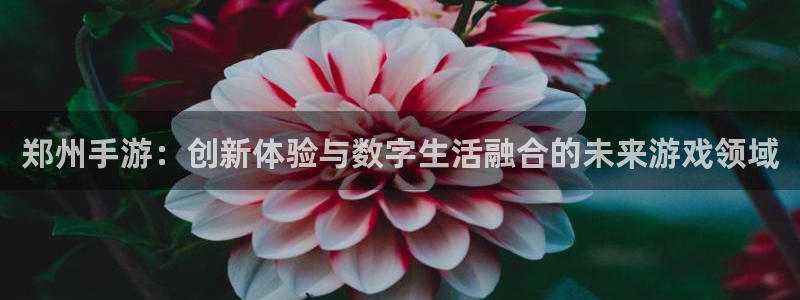 汇丰娱乐开奖结果查询：郑州手游：创新体验与数字生活融合的未来