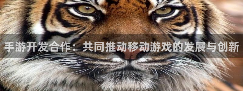 汇丰娱乐开奖官网查询中奖号码：手游开发合作：共同推动移动游戏