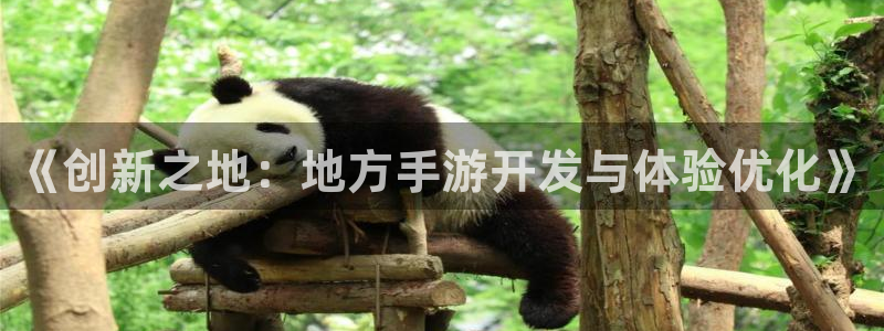 汇丰娱乐官网开奖：《创新之地：地方手游开发与体验优化》