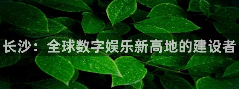 汇丰娱乐在线：长沙：全球数字娱乐新高地的建设者