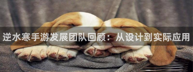 汇丰娱乐开奖网站：逆水寒手游发展团队回顾：从设计到实际应用