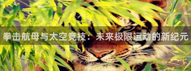 柠檬体育直播网是哪个：拳击航母与太空竞技：未来极限运动的新纪元