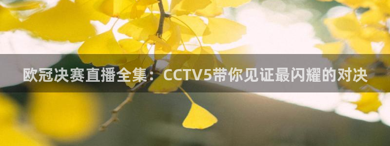 柠檬直播吧：欧冠决赛直播全集：CCTV5带你见证最闪耀的对决