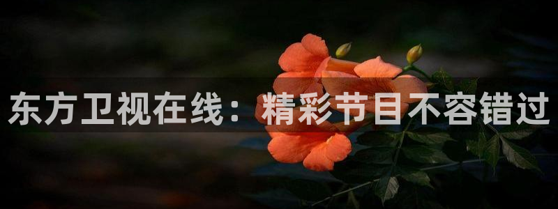 新闻图片
