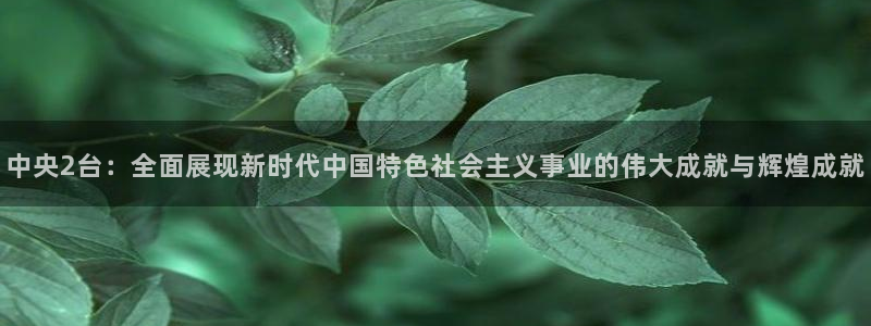 柠檬体育免费直播：中央2台：全面展现新时代中国特色社会主义事业的伟大成就与辉煌成就