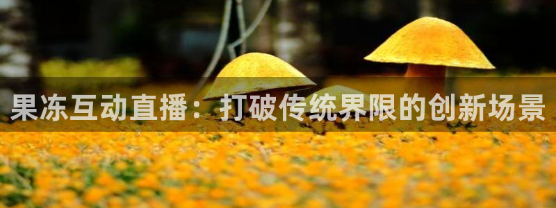 柠檬直播体育足球