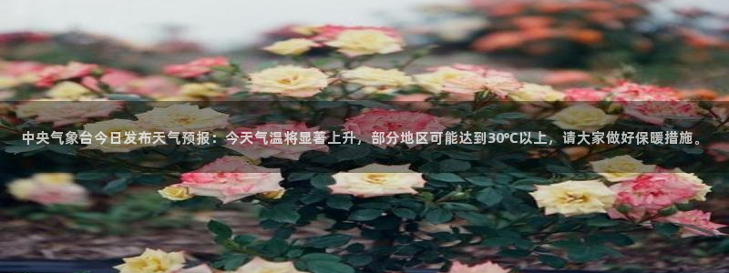 小柠檬直播