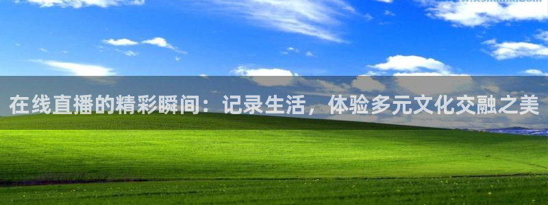 柠檬直播篮球