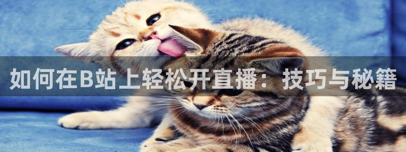 柠檬视频直播