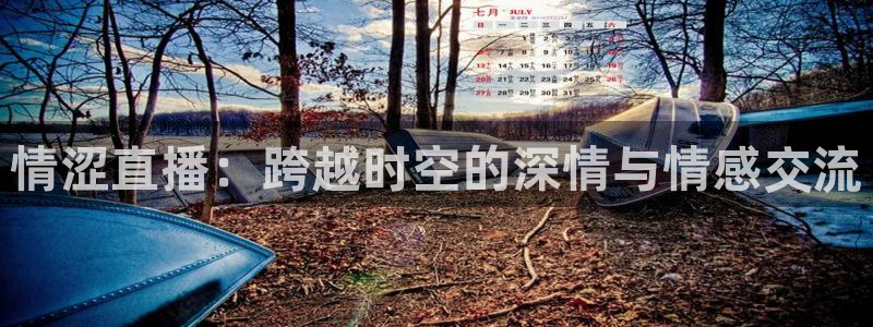 柠檬免费足球直播