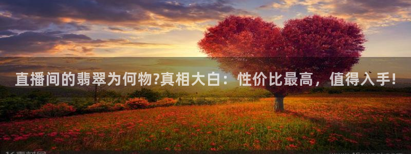 柠檬直播nba篮球：直播间的翡翠为何物?真相大白：性价比最高，值得入手!