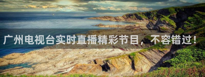 柠檬体育直播官网：广州电视台实时直播精彩节目，不容错过！